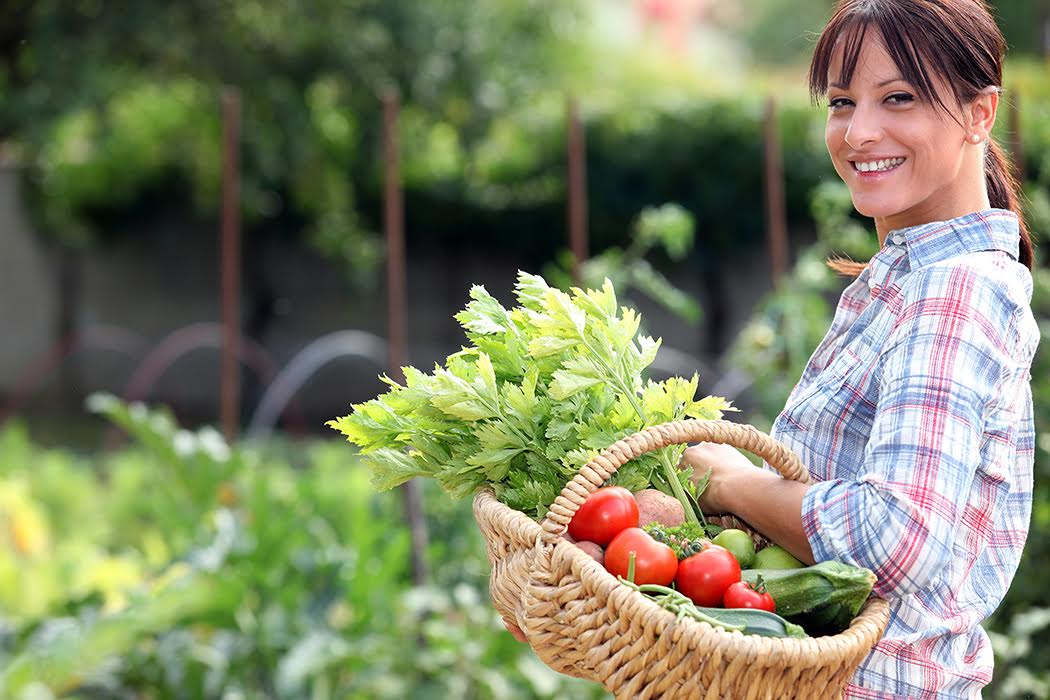 Des jardins communautaires